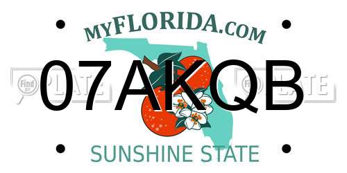 07AKQB Florida License Plate