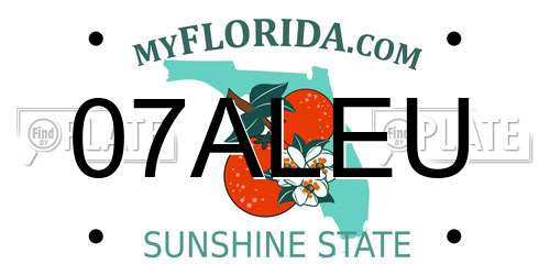 07ALEU Florida License Plate