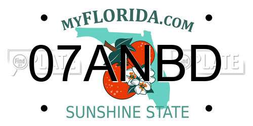 07ANBD Florida License Plate
