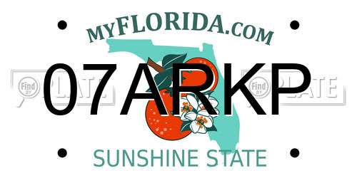 07ARKP Florida License Plate