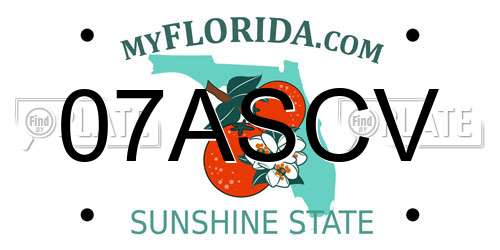07ASCV Florida License Plate