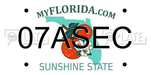 07ASEC Florida License Plate
