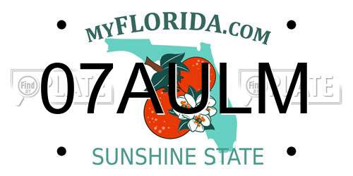 07AULM Florida License Plate
