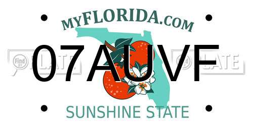 07AUVF Florida License Plate