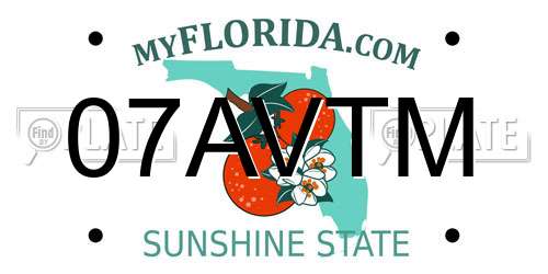 07AVTM Florida License Plate