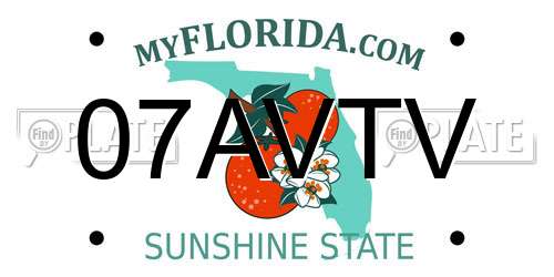 07AVTV Florida License Plate