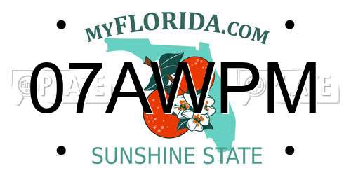 07AWPM Florida License Plate