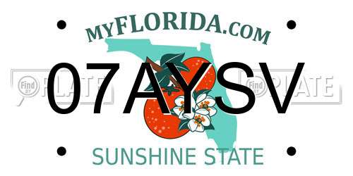 07AYSV Florida License Plate