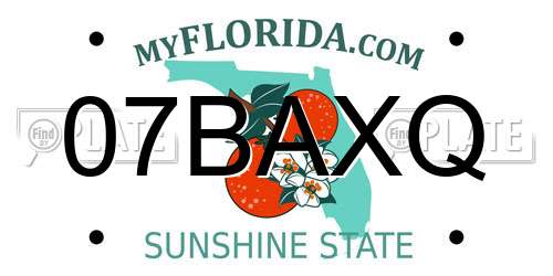 07BAXQ Florida License Plate