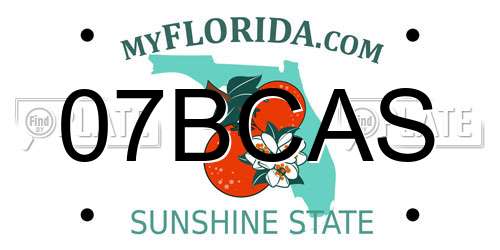 07BCAS Florida License Plate