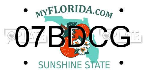 07BDCG Florida License Plate