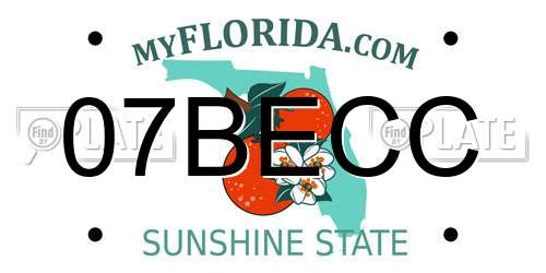 07BECC Florida License Plate