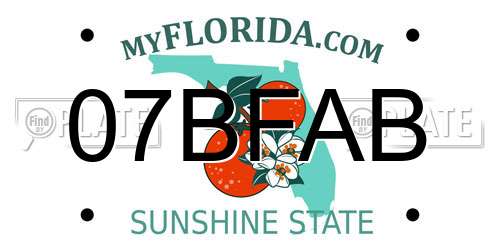 07BFAB Florida License Plate