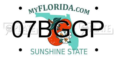 07BGGP Florida License Plate