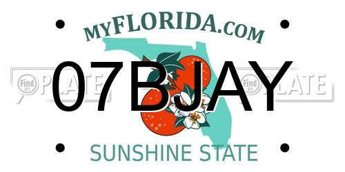 07BJAY Florida License Plate