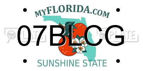 07BLCG Florida License Plate