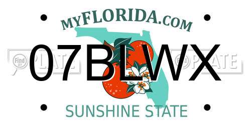 07BLWX Florida License Plate