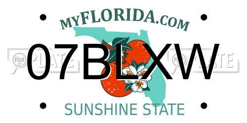 07BLXW Florida License Plate