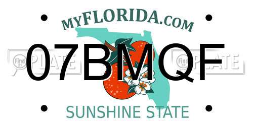 07BMQF Florida License Plate