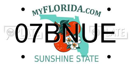 07BNUE Florida License Plate