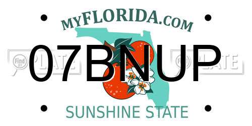 07BNUP Florida License Plate