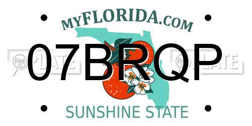 07BRQP Florida License Plate