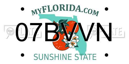 07BVVN Florida License Plate