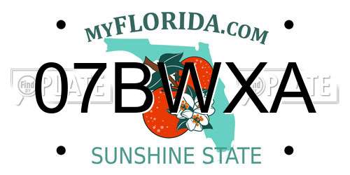 07BWXA Florida License Plate