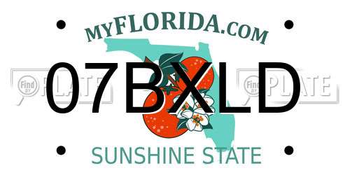 07BXLD Florida License Plate