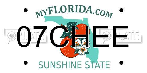 07CHEE Florida License Plate