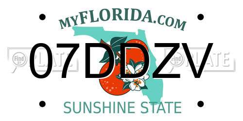 07DDZV Florida License Plate