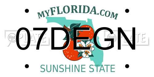 07DEGN Florida License Plate