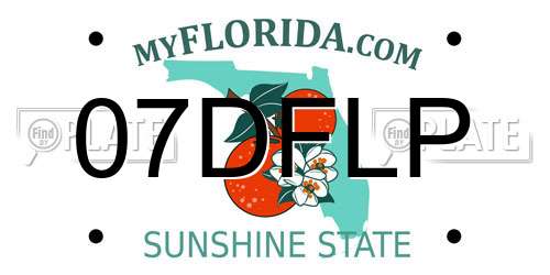 07DFLP Florida License Plate