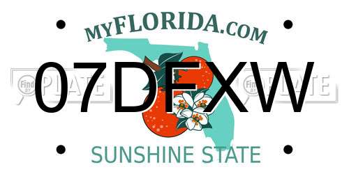 07DFXW Florida License Plate