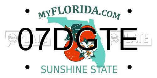 07DGTE Florida License Plate