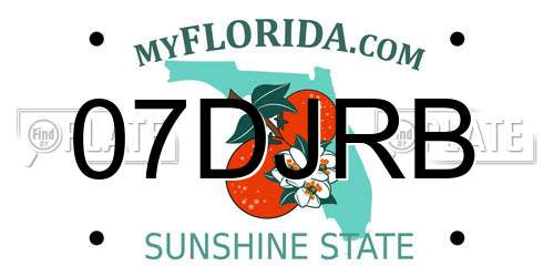 07DJRB Florida License Plate