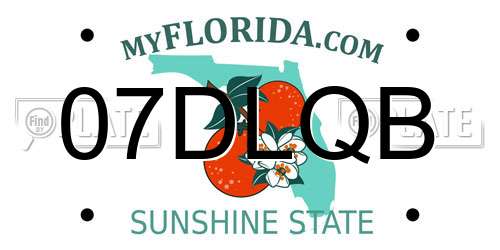 07DLQB Florida License Plate