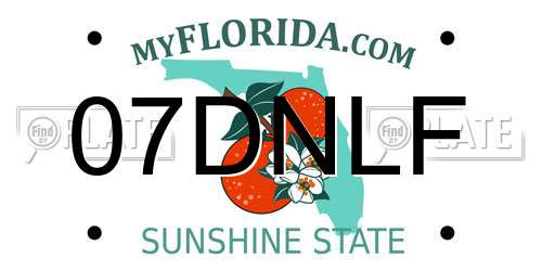 07DNLF Florida License Plate