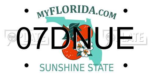 07DNUE Florida License Plate