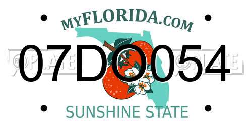 07DO054 Florida License Plate