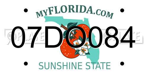 07DO084 Florida License Plate