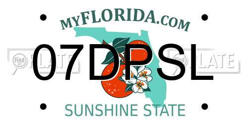 07DPSL Florida License Plate