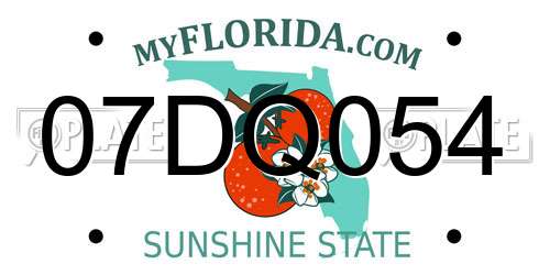 07DQ054 Florida License Plate