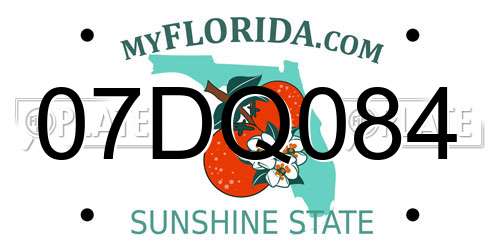 07DQ084 Florida License Plate