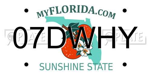 07DWHY Florida License Plate