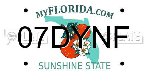 07DYNF Florida License Plate