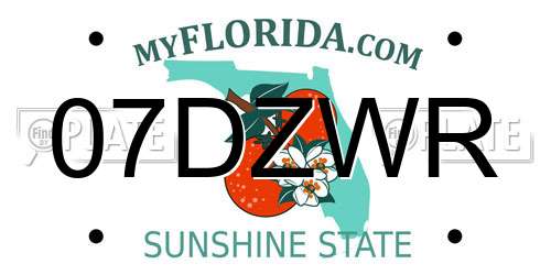 07DZWR Florida License Plate