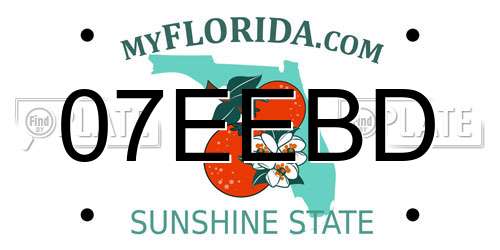 07EEBD Florida License Plate