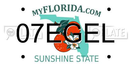 07EGEL Florida License Plate