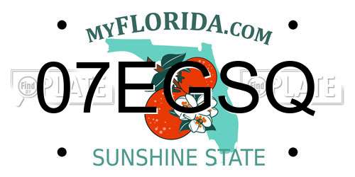 07EGSQ Florida License Plate